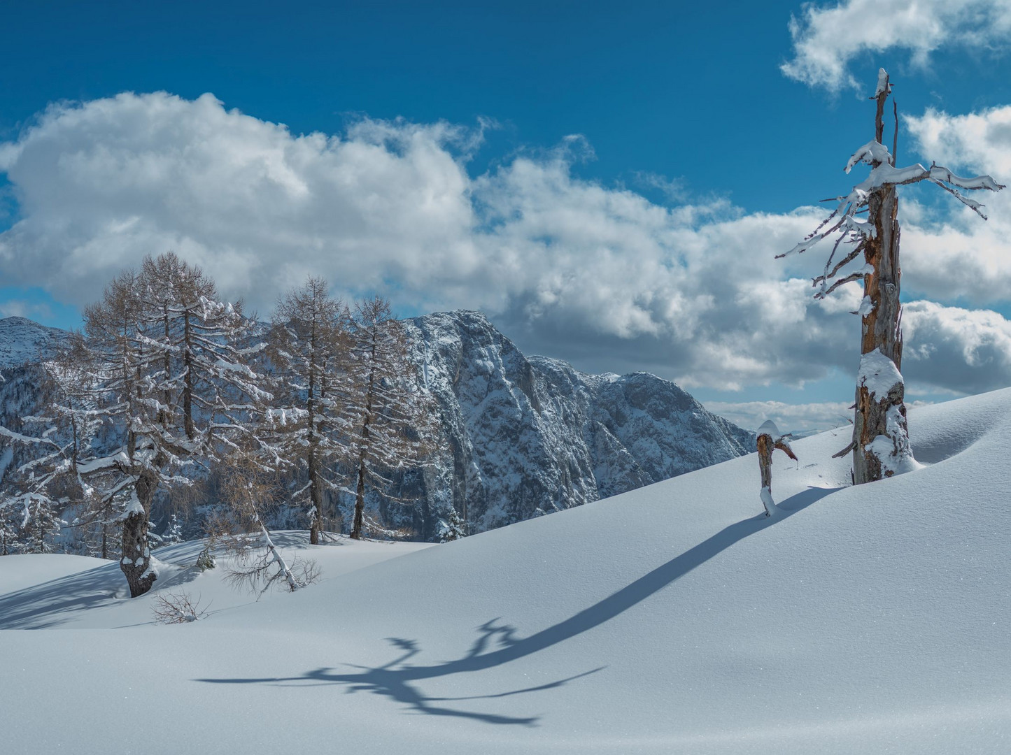 _3080071-Schönwettertag