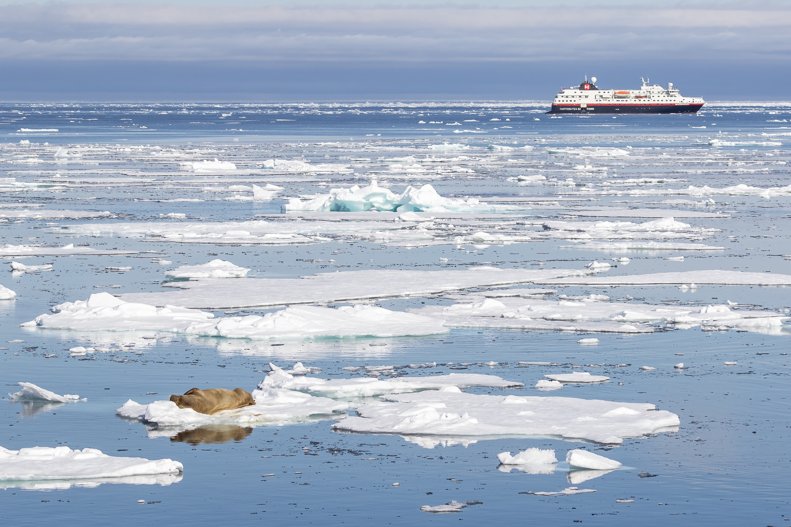 309-20230627 - Packeis-Raudfjorden und Fuglesangen - CS8A7714-Bearbeitet