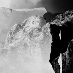 309 Todesopfer in 2024 ...