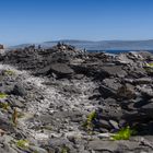 30°C on the Path to Fardurris Point.