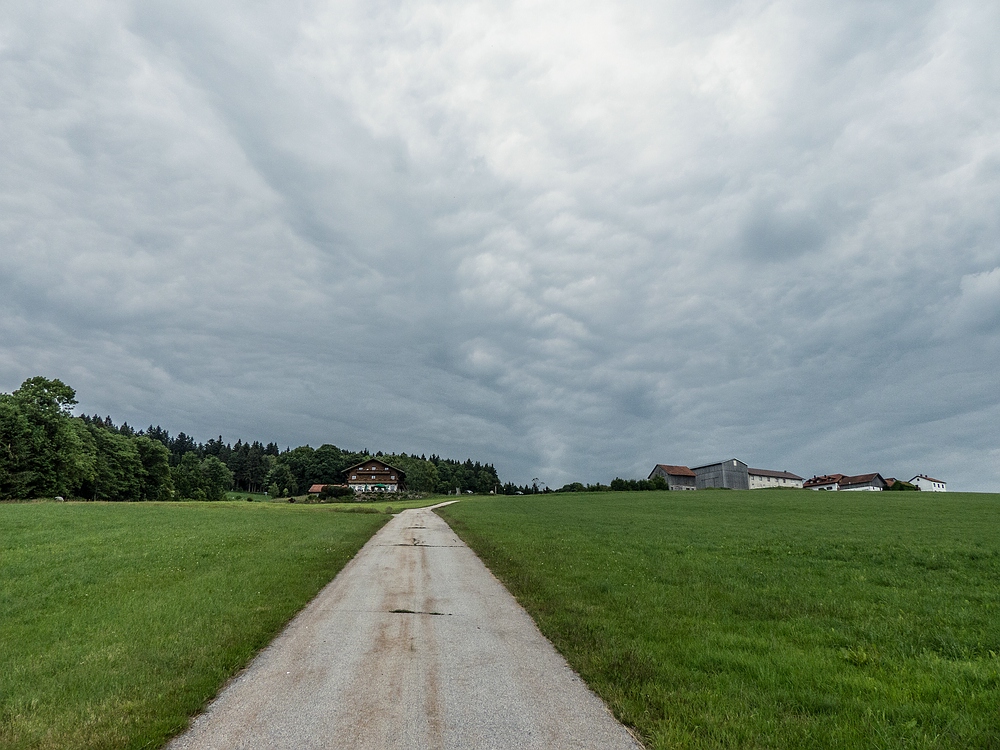 30.Juni 12:56 Uhr Blick nach Norden