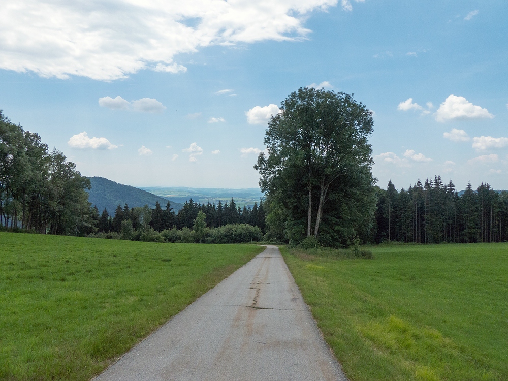 30.Juni 12:56 Uhr Blick nach Süden