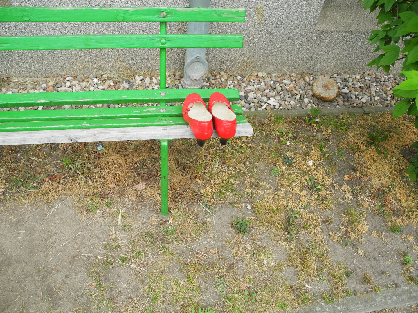 31-05-2022 Aschenputtels Schuhe in neblig-diesiger Morgenstunde