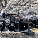 31. Rollfilmertreffen