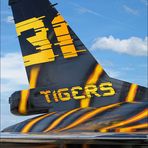 31 TIGERS