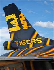 31 TIGERS