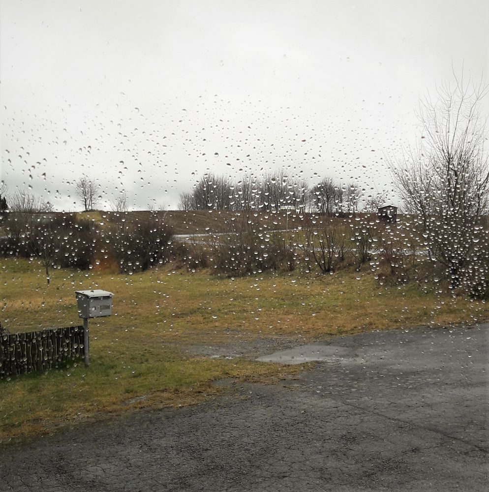31.01.2020 Wenn Regentropfen an mein Fenster klopfen Foto