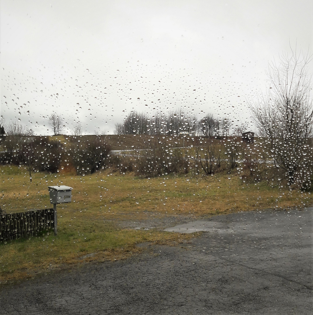 31.01.2020 Wenn Regentropfen an mein Fenster klopfen Foto & Bild