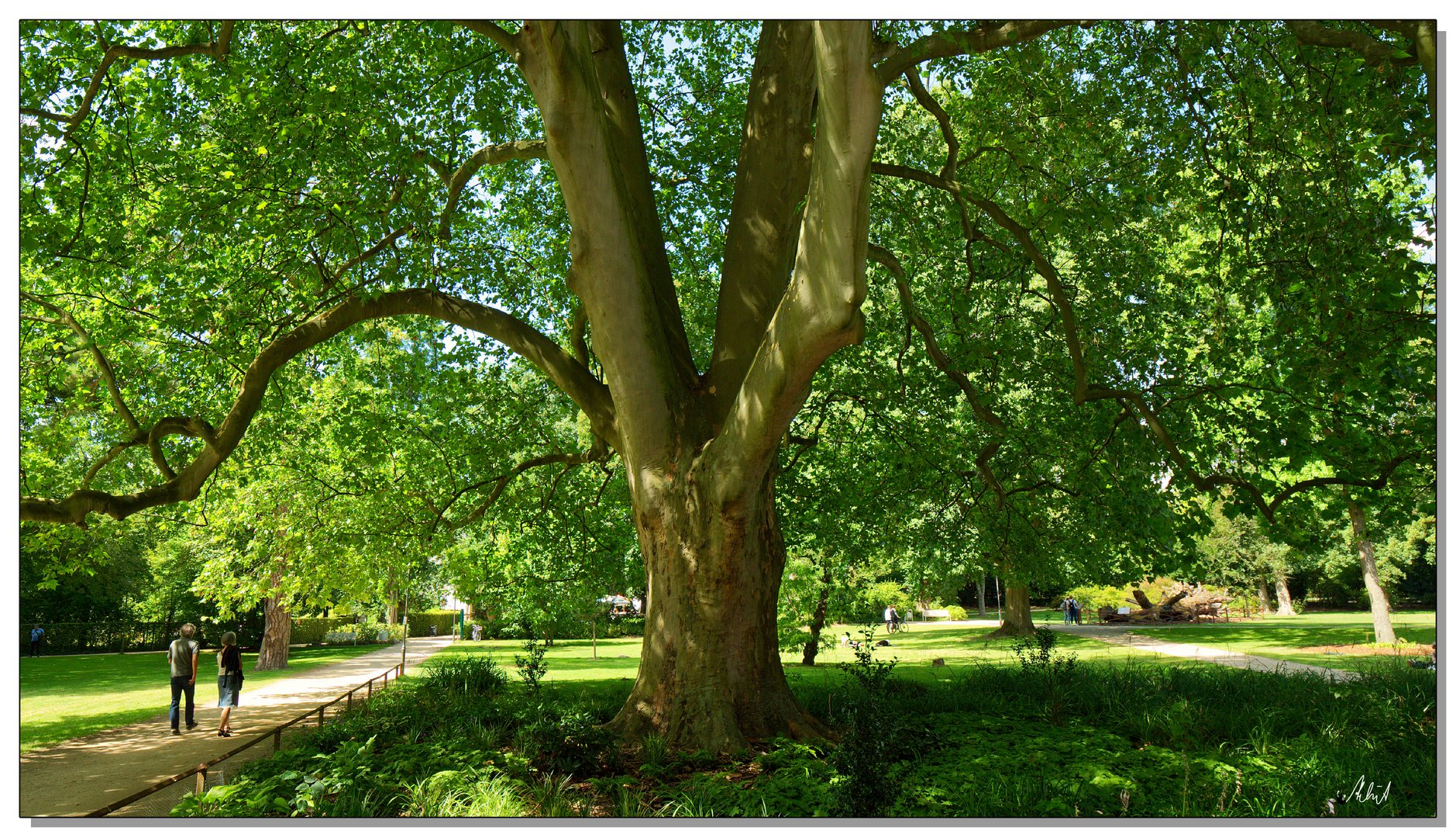 3103   --- Schatten suchen im Park ---