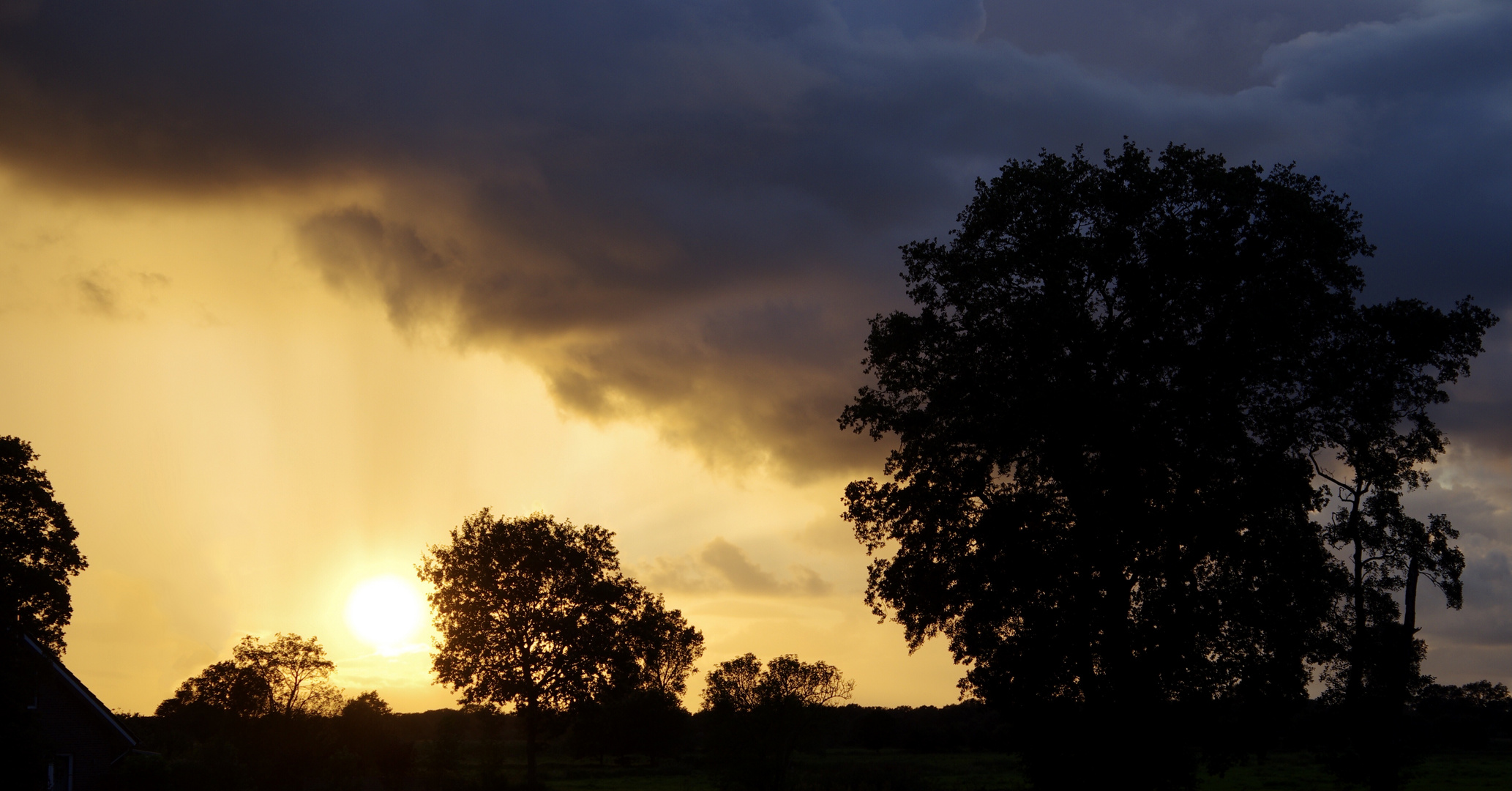 31.08. um 19:18 Uhr