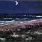 310luna2  __A BEACH, DAVID AND THE MOONLIGHT__