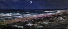 310luna2  __A BEACH, DAVID AND THE MOONLIGHT__