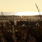 31.12.2007 am Strand von Castelldelfels