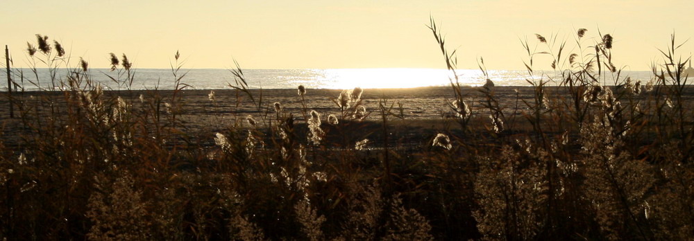 31.12.2007 am Strand von Castelldelfels