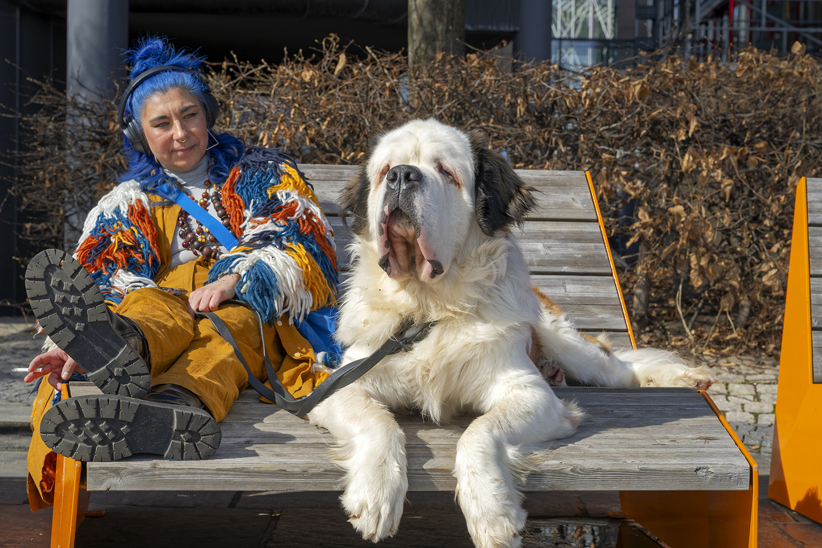 3135UZ Bunt gekleidete Frau mit Hund Street Oslo Norwegen