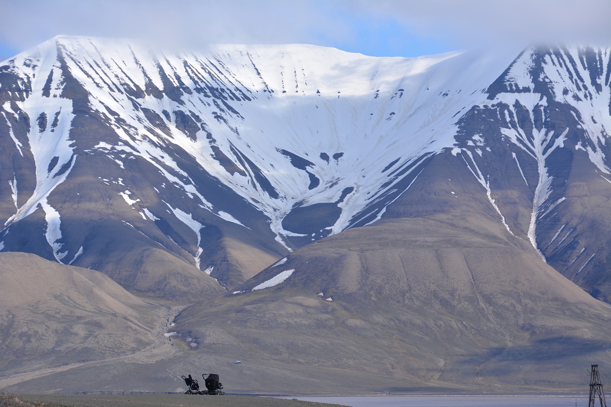 314 313 1095 Spitzbergen 2016 - Rosalena 2190