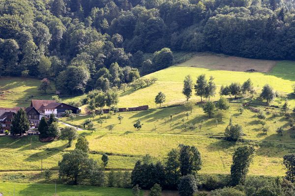 31/52 Abendstimmung im Achertal