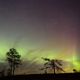 Polarlichter tanzen ber einem Moor in Lappland