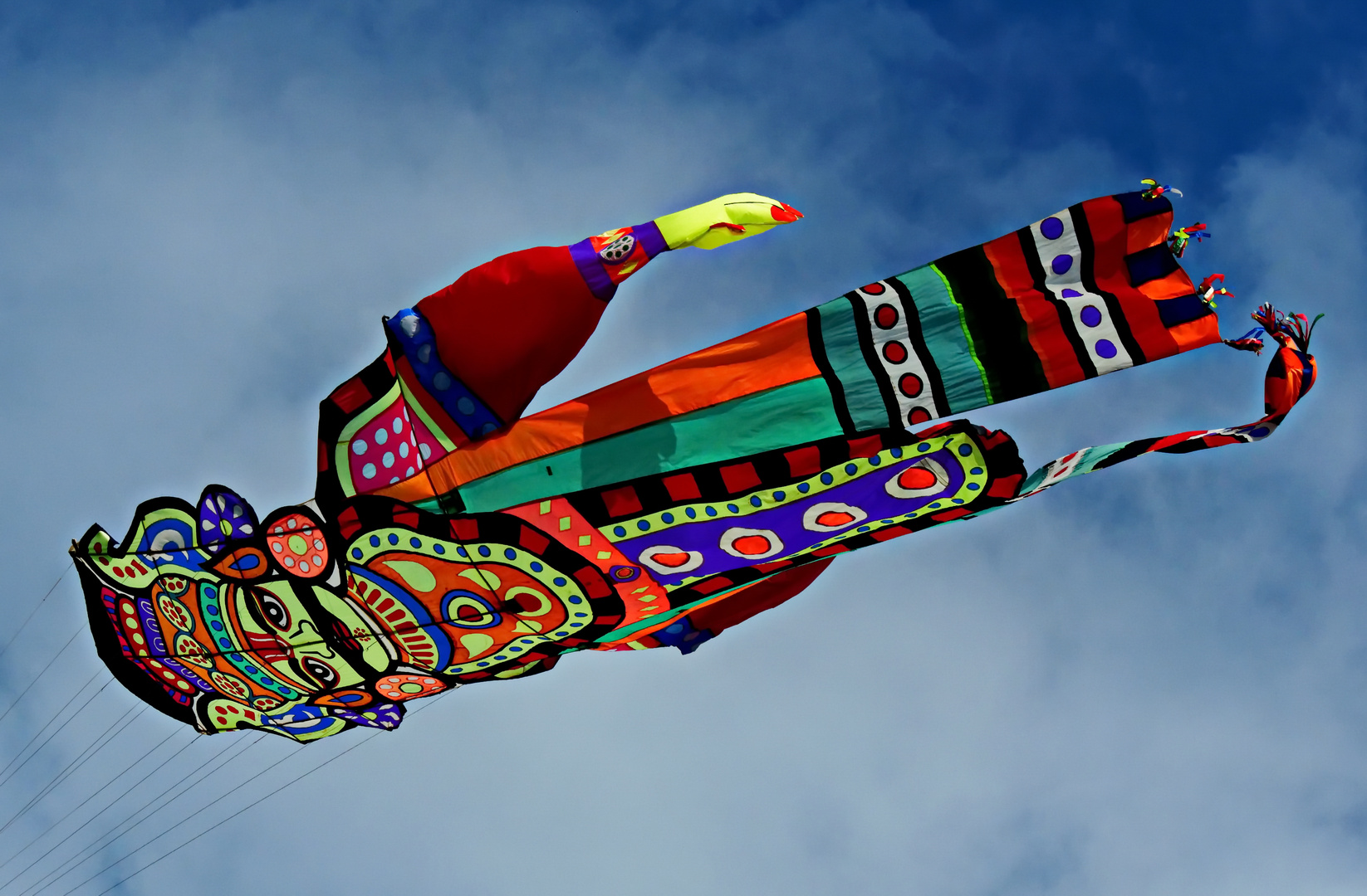 3159   cerf volant à berck