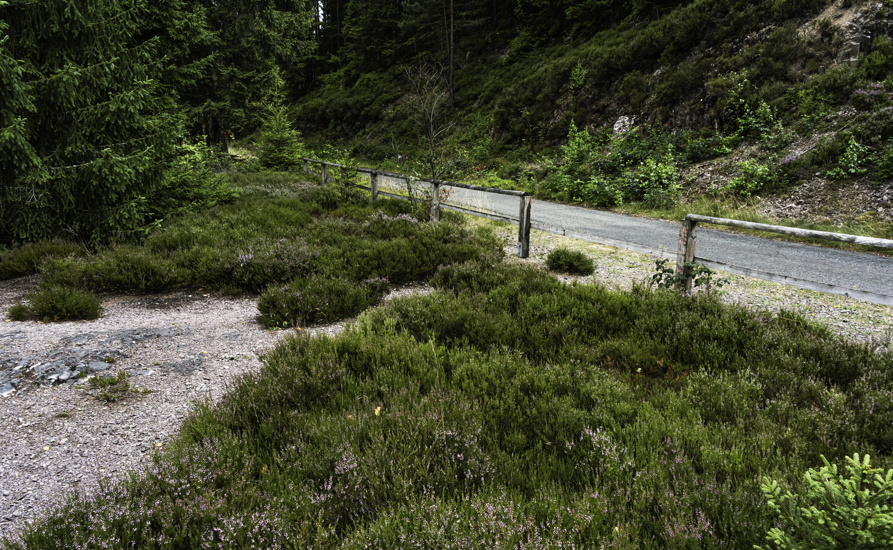 318 Schon fast Heidelandschaft (bearbeitet)