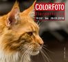 Jury-Voting Colorfoto: Tierportraits
