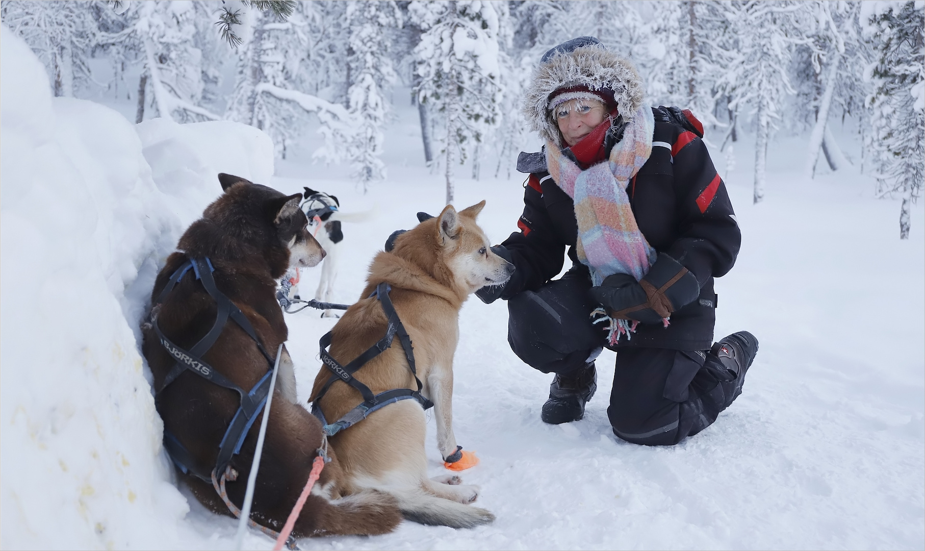 -31°C