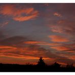 31.Januar 2007 um 17:30 Uhr "Sonnenuntergang über Bad Godesberg"