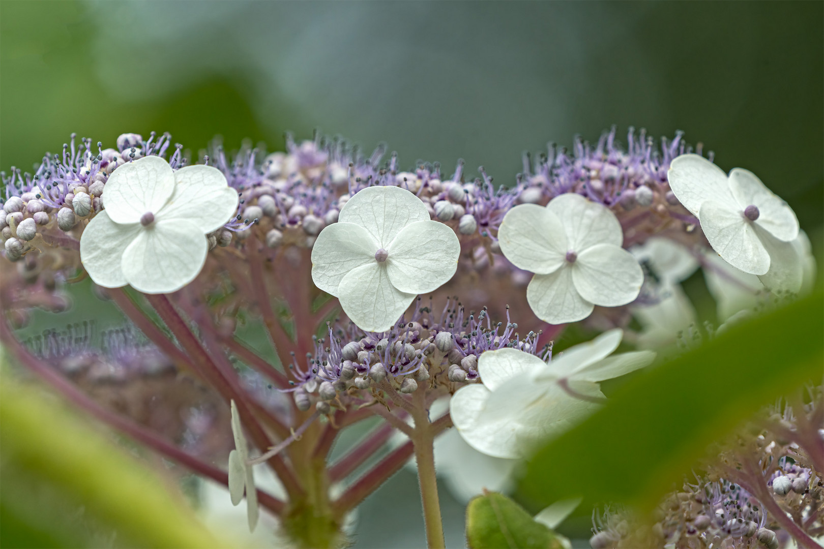 31_Natur