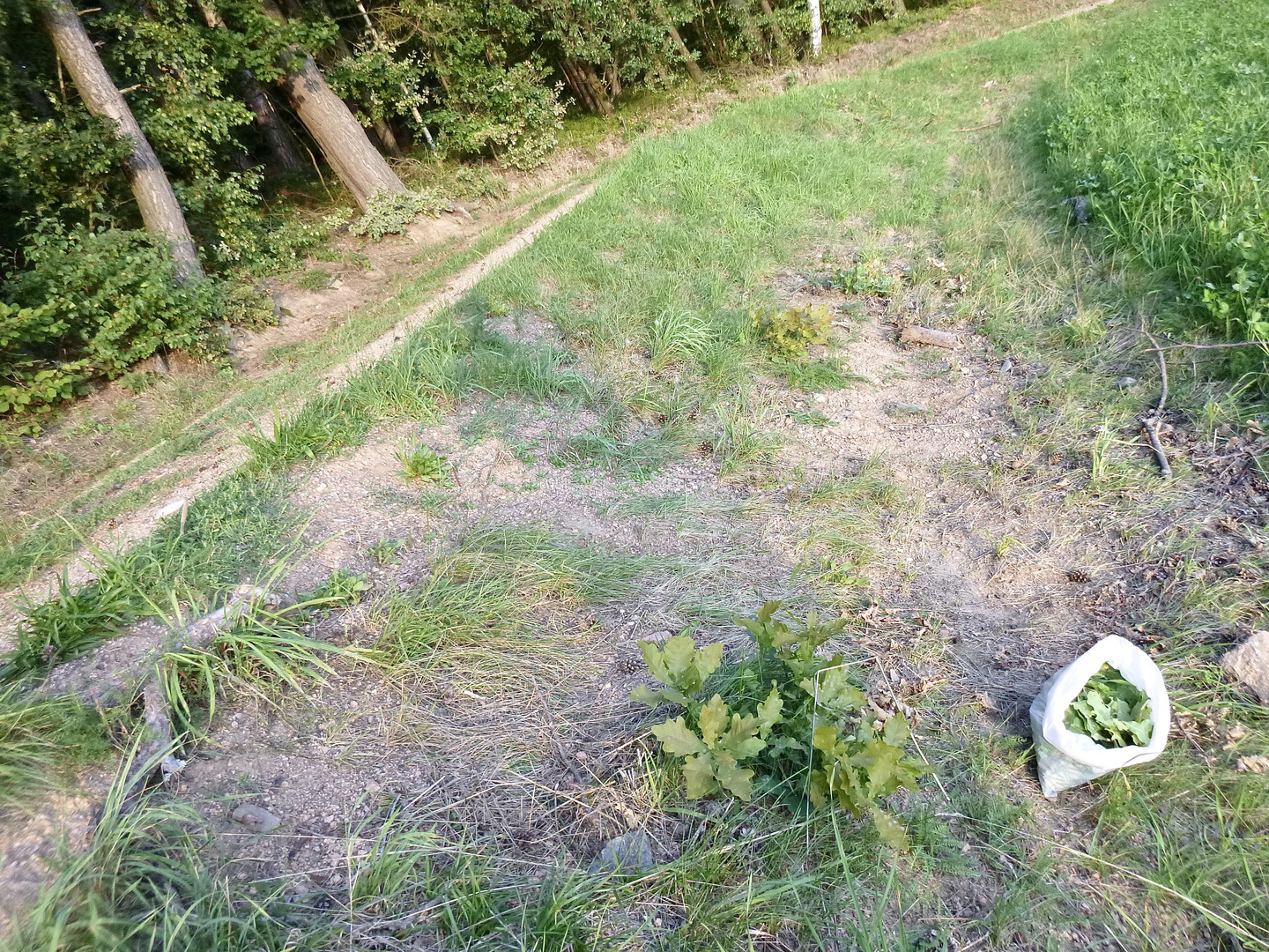 (32) "Meine" Bienenkolonie 2019 - Im kalten Winter Vorfreude auf den nächsten Sommer ...