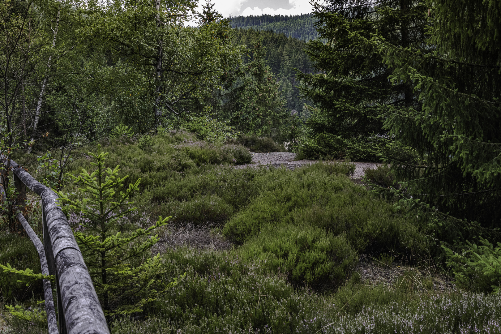 320 Aussichtspunkt Besendickerfelsen Westansicht (bearbeitet)