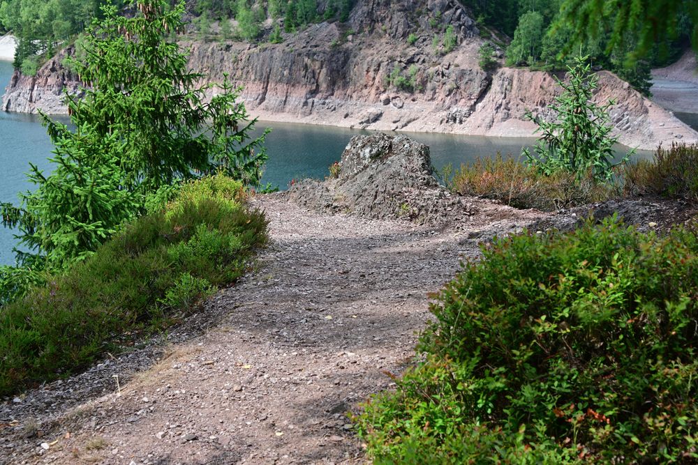 321 Besendickerfelsen (unbearbeitet)