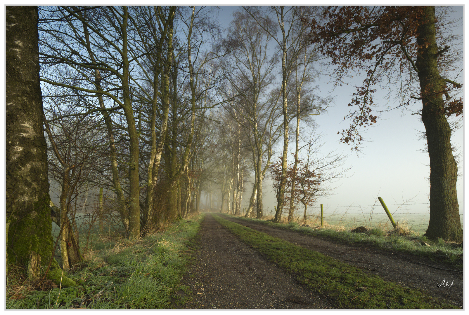 3238  ... Morgennebel in der Heide ...