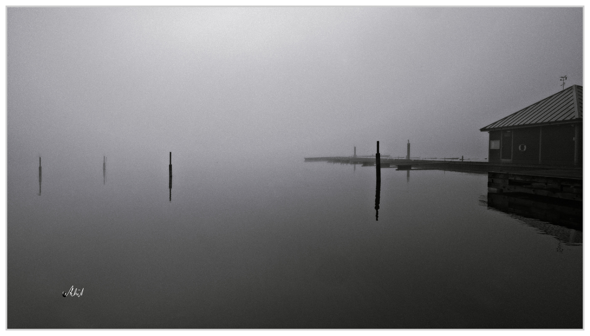 3251  ... Der See im Nebel ....