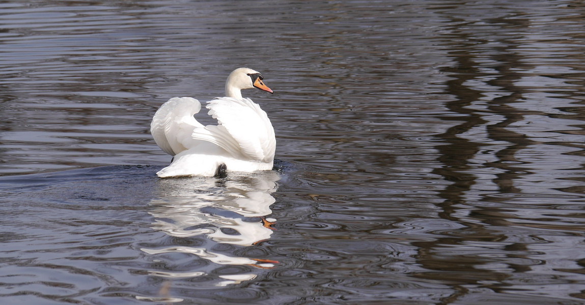 32/52 lass mich in Ruhe