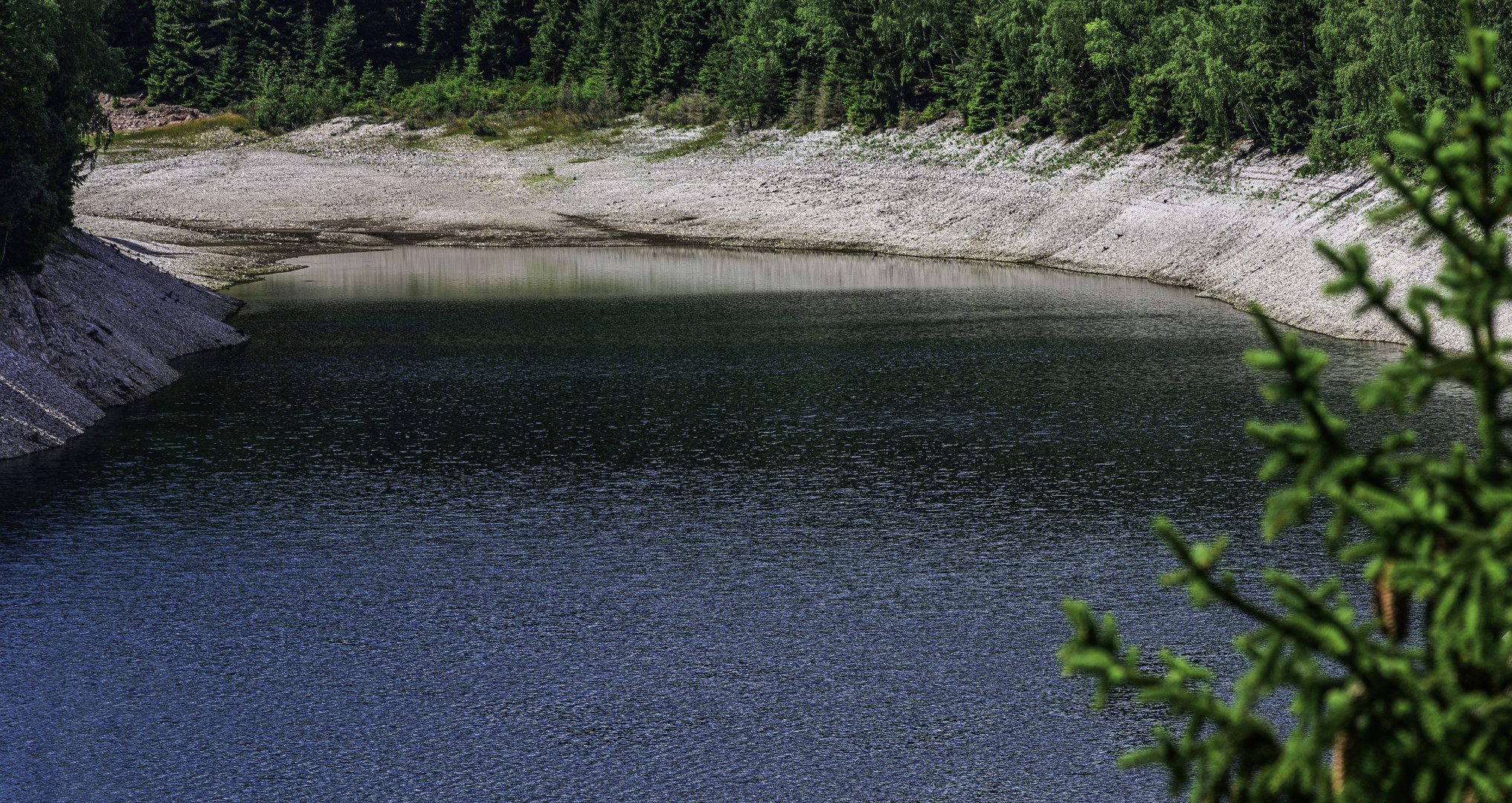 328 Kollateralschaden in der Natur (bearbeitet)