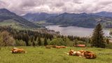 Schliersee von Renier.M