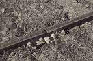 Rail........ by Sergio Zolessi 