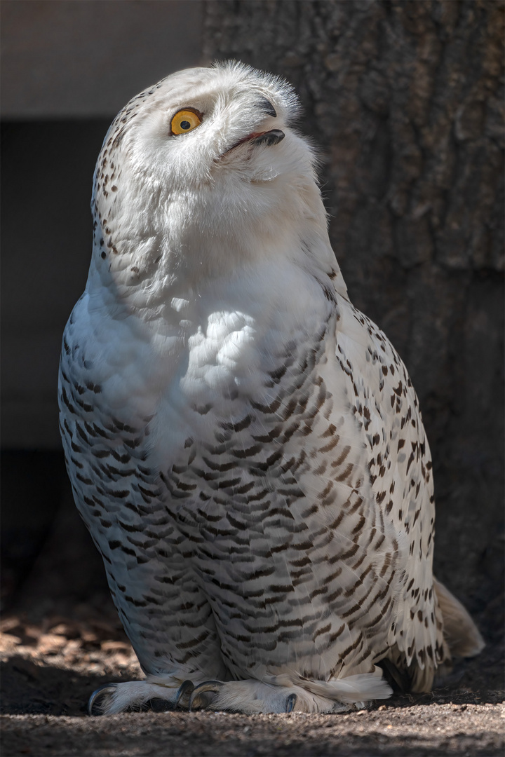 32_Zoo Hannover