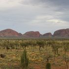 33 - Kata Tjuta am frühen Morgen