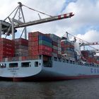 334 Meter Cosco Germany