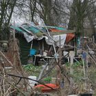 335.000 Obdachlose in Deutschland