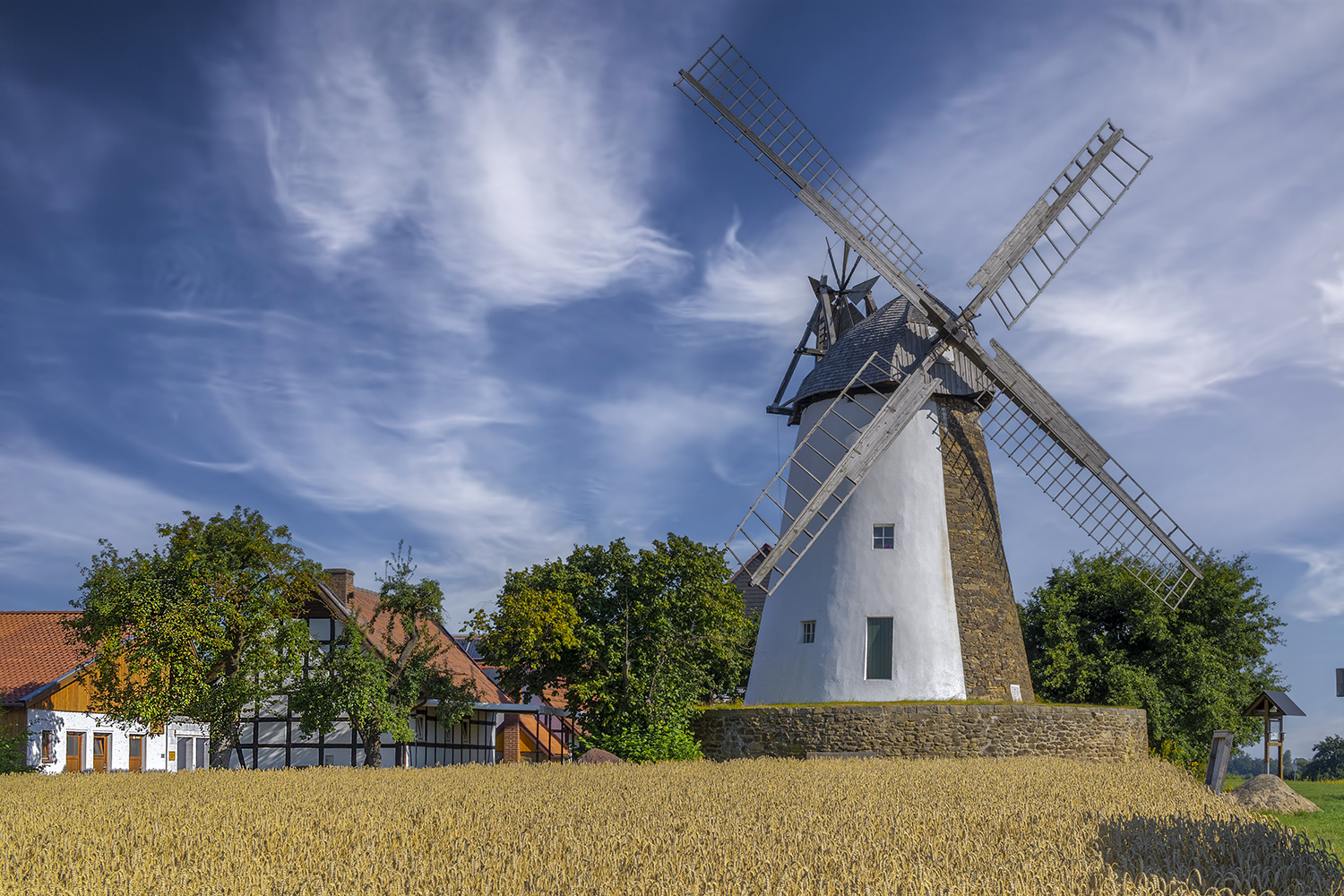 3350SC Windmühle Eickhorst mit Getreidefeld