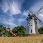 3350SC Windmühle Eickhorst mit Getreidefeld