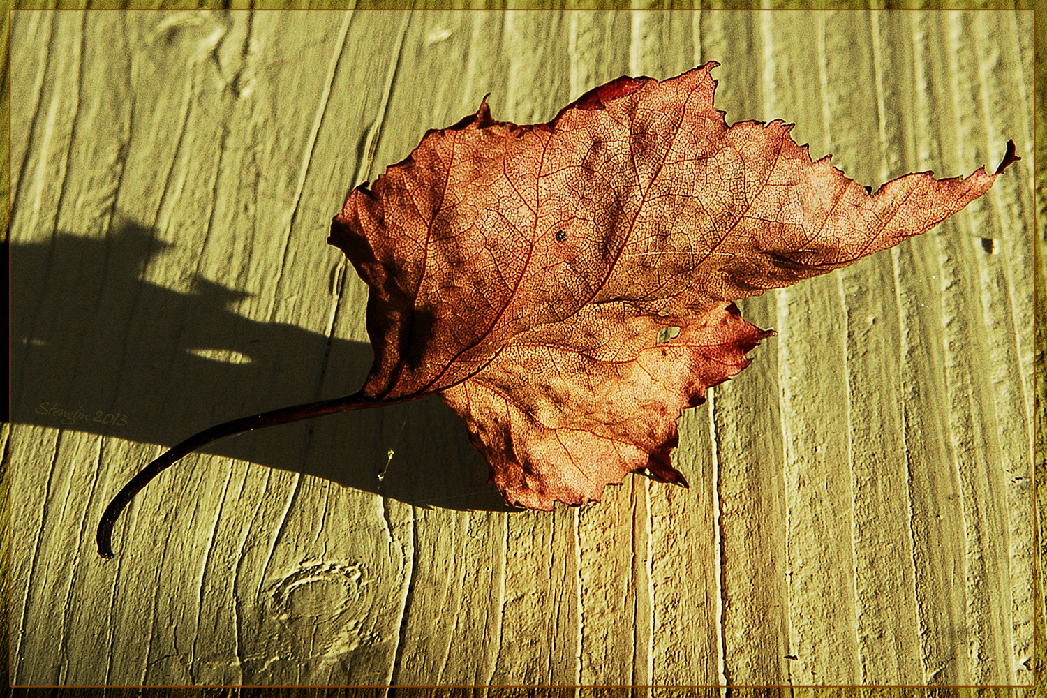 336-13 Herbstkontraste