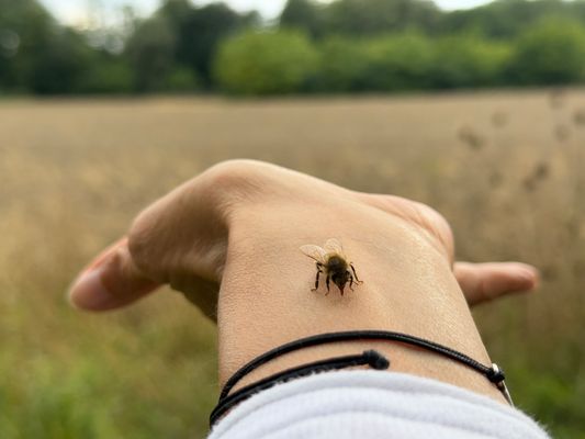 3/365 (1) Landeplatz