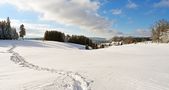 "Spuren im Schnee" von roka