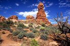 Red Canyon Utah von  Klaus Ender