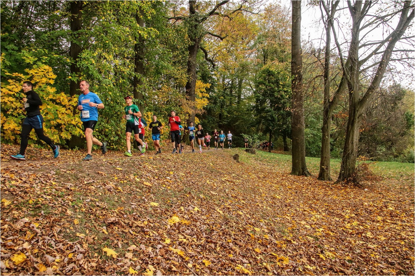 34. Glauchauer Herbstlauf