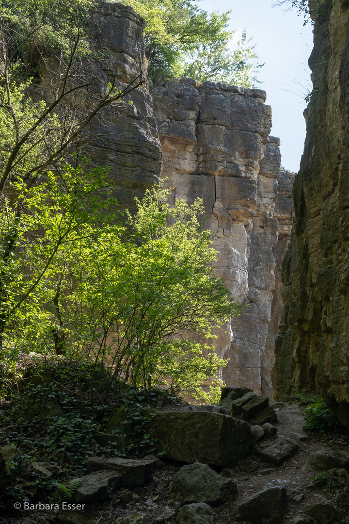 34-Hessigheimer Felsenharten - Bedeutende Felsformationen und Naturklettergarten