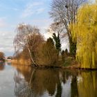 3.4.2019  Dinkelsbühl : Spaziergang am Waklweiher